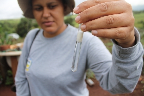 Em período de chuvas constantes, infestação de dengue volta a subir em Tamarana