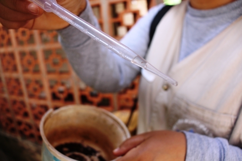 Levantamento volta a encontrar focos de dengue somente em residências de Tamarana