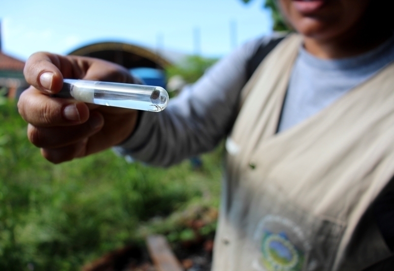 Ocorrência de criadouros do mosquito da dengue cai para menos de 1% em Tamarana