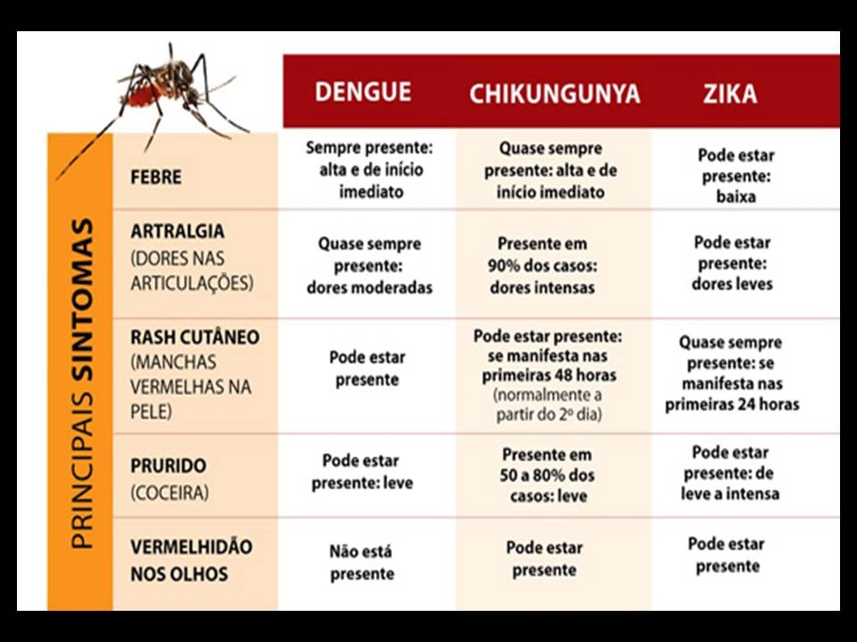 ÍNDICE LARVÁRIO DE DENGUE EM TAMARANA
