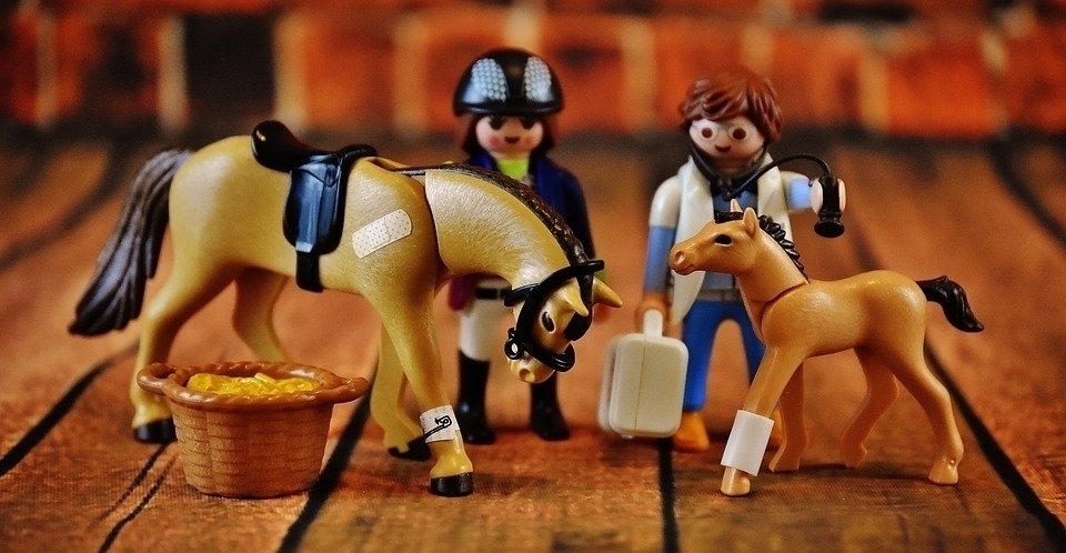 Prefeitura abre seleção de estágio remunerado para Medicina Veterinária